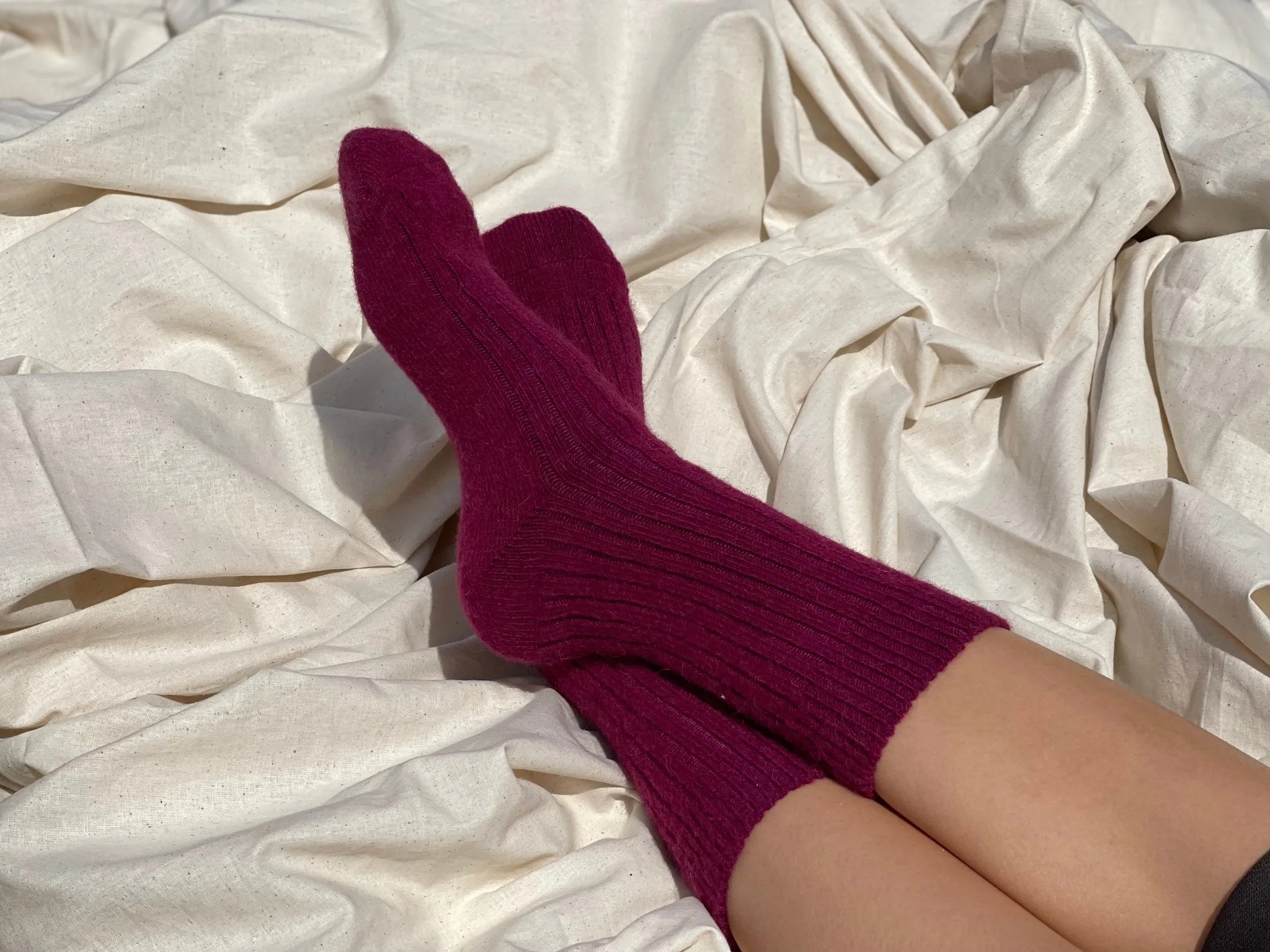 Humphrey Law - Alpaca Health Sock - Berry